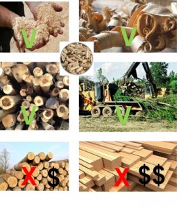 biomass sustainability